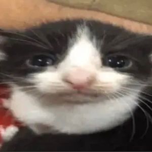 Meet your Posher, Aaron